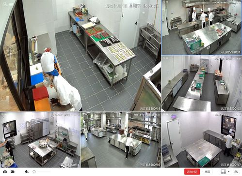 白玉兰穹顶何时绽放？上海网球大师赛场馆幕后保障与建筑节能系统揭秘