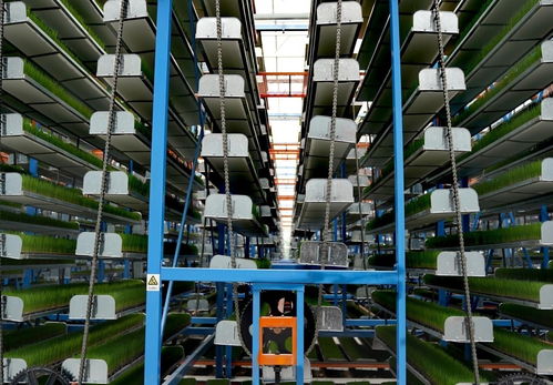 空中育秧 把水田搬进厂房，安徽建筑节能系统助推农业高质量发展